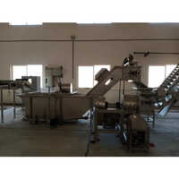 Fruit Processing Machinery - Automation Grade: Automatic