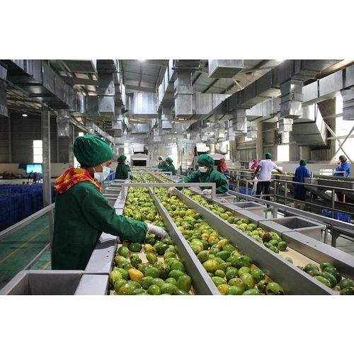 Mango Processing Plant - Automation Grade: Semi Automatic