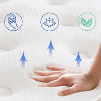 Charcoal Serenity Memory Foam Bed Mattress