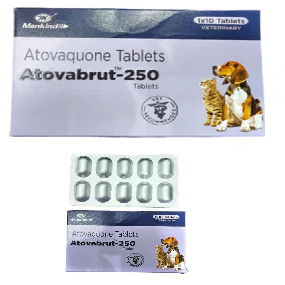  ATOVABRUT Atovaquone 250MG TABLETS																															