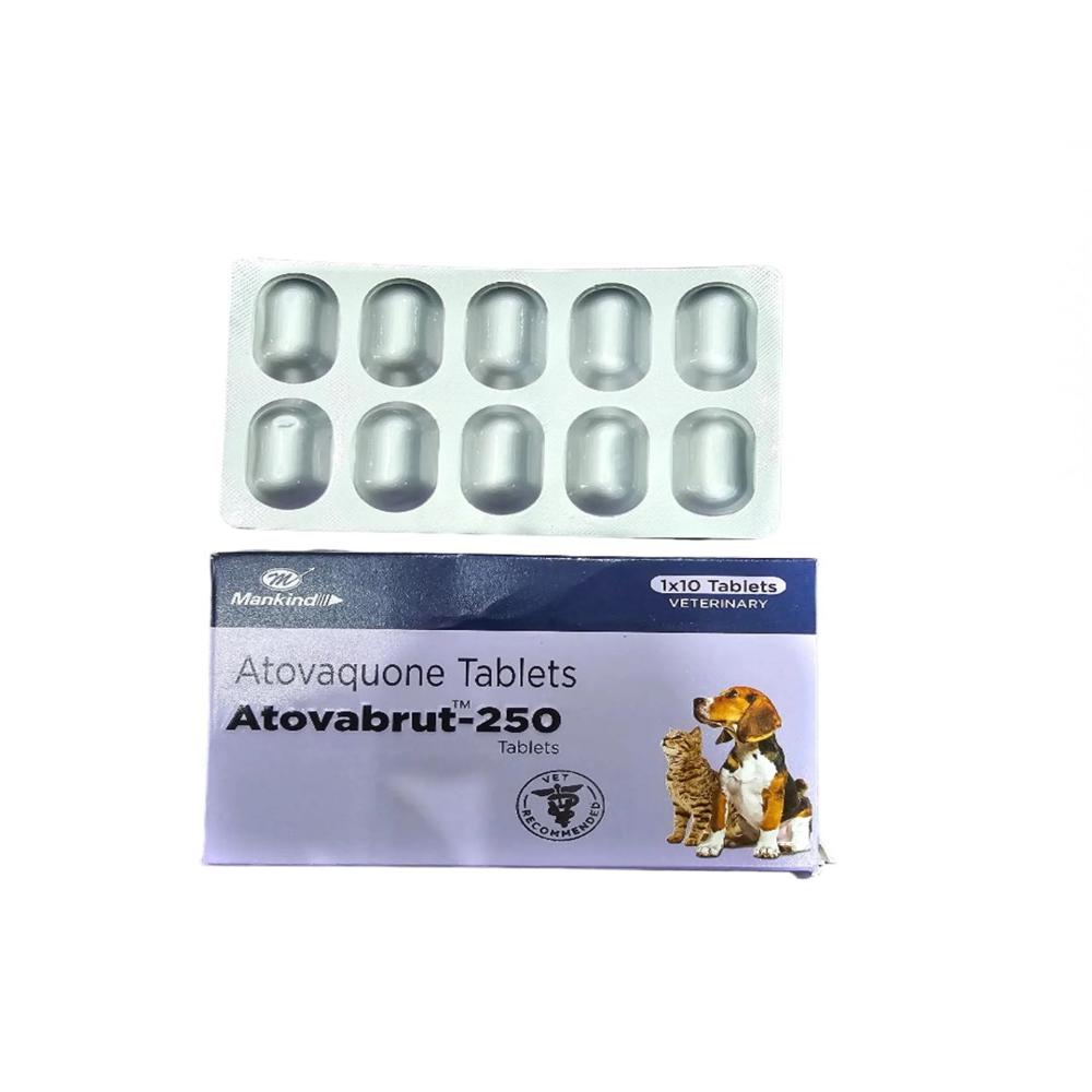 ATOVABRUT Atovaquone 250MG TABLETS																															