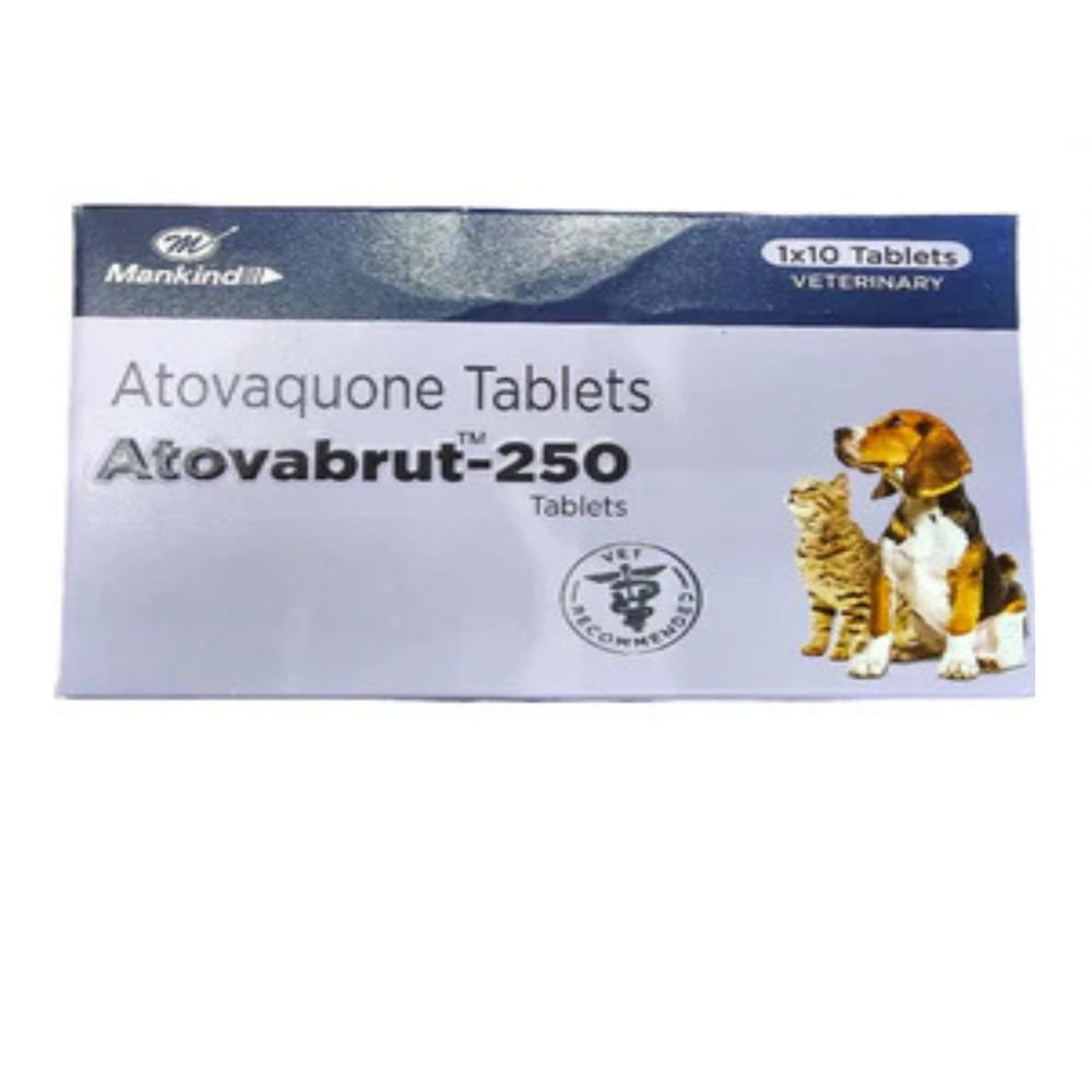  ATOVABRUT Atovaquone 250MG TABLETS																															