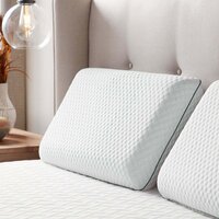 Memory Foam Pillow