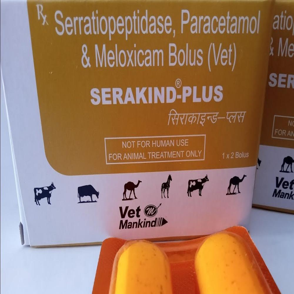 SERAKIND PLUS  MELOXICAM, PARACETAMOL, and SERRATIOPEPTIDASE BOLUS