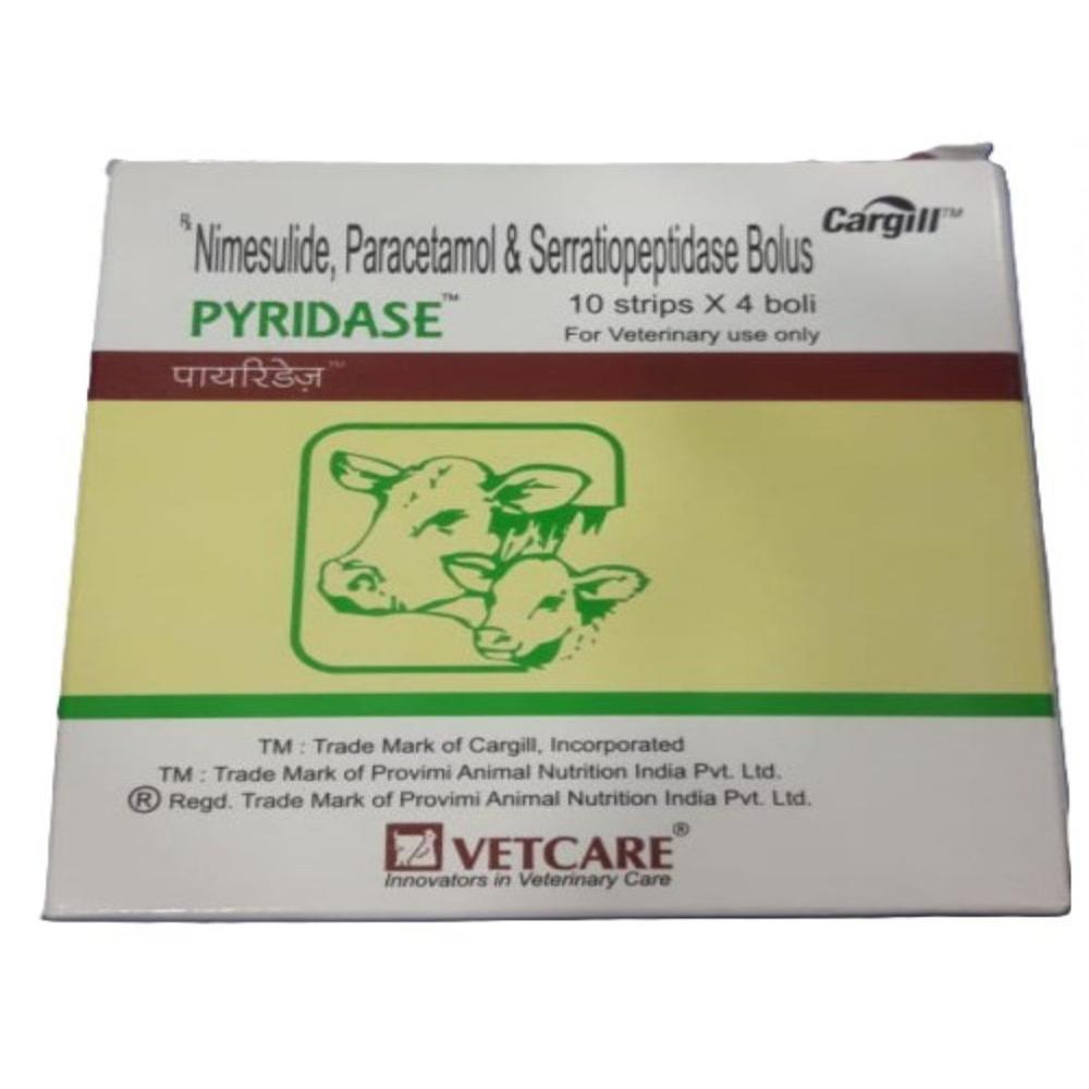 PYRIDASE nimesulide, paracetamol, and serratiopeptidase BOLUS