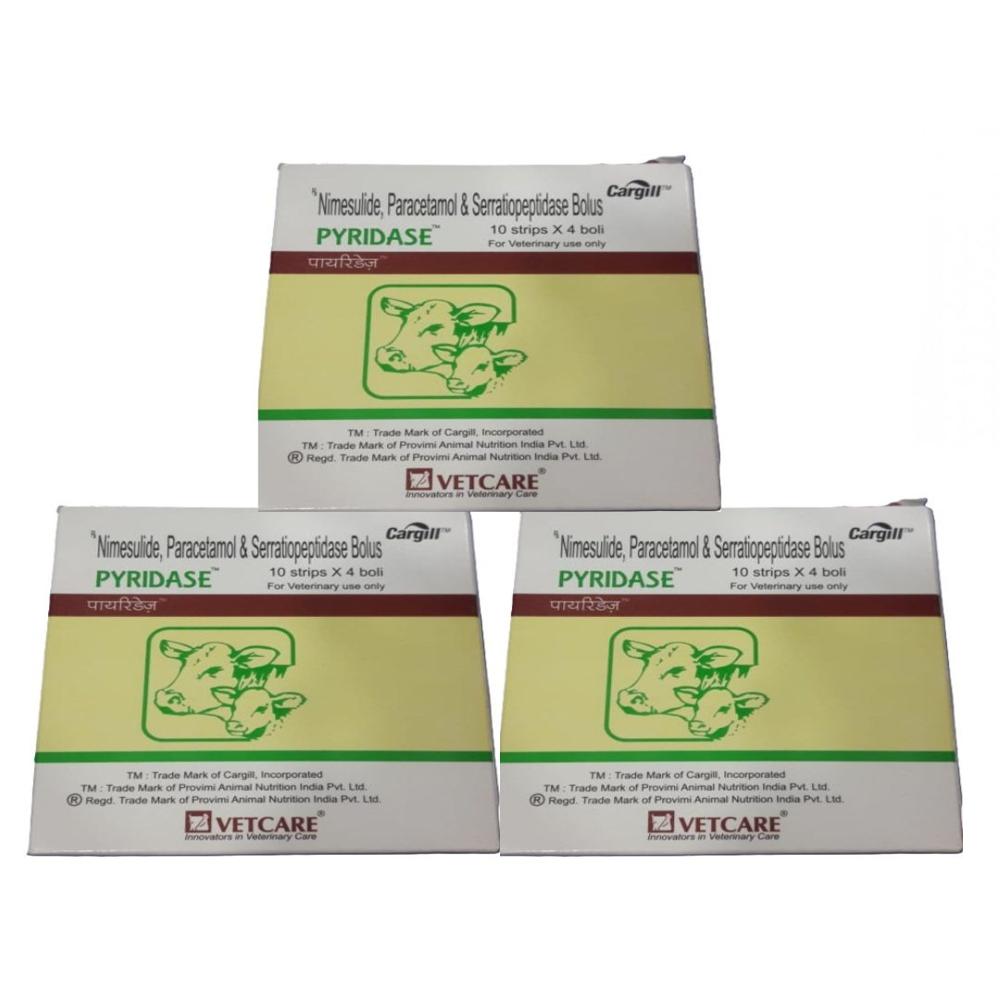 Pyridase Nimesulide, Paracetamol, And Serratiopeptidase Bolus - Packaging Type: Box
