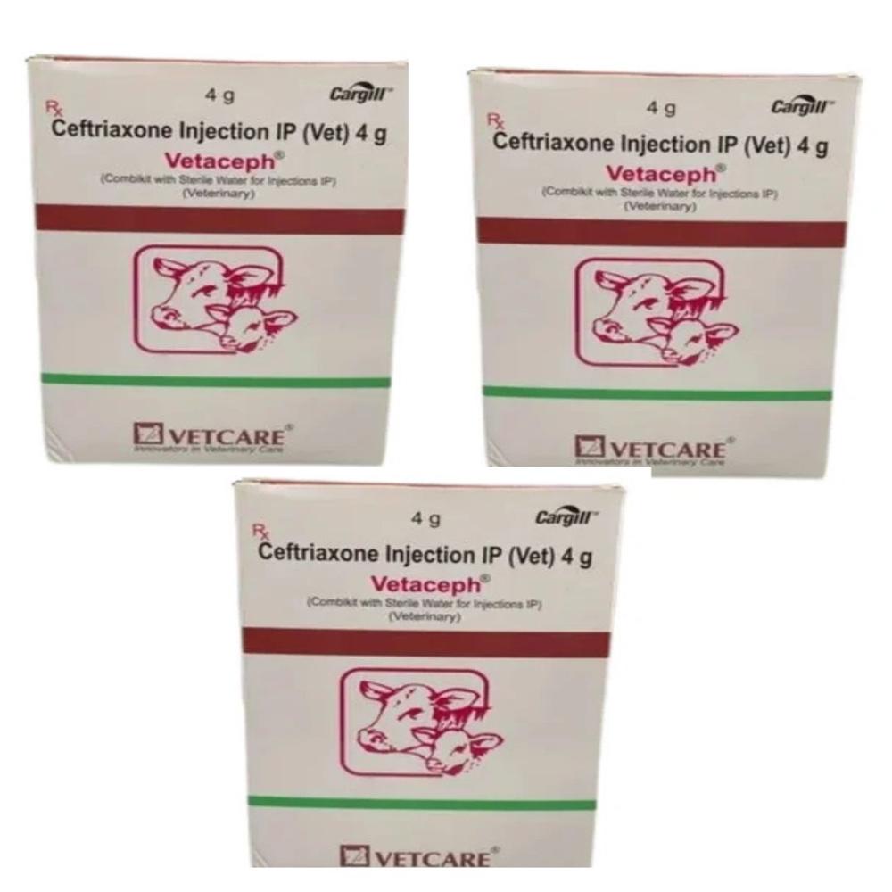 Vetaceph 4gm Ceftriaxone sodium Injection