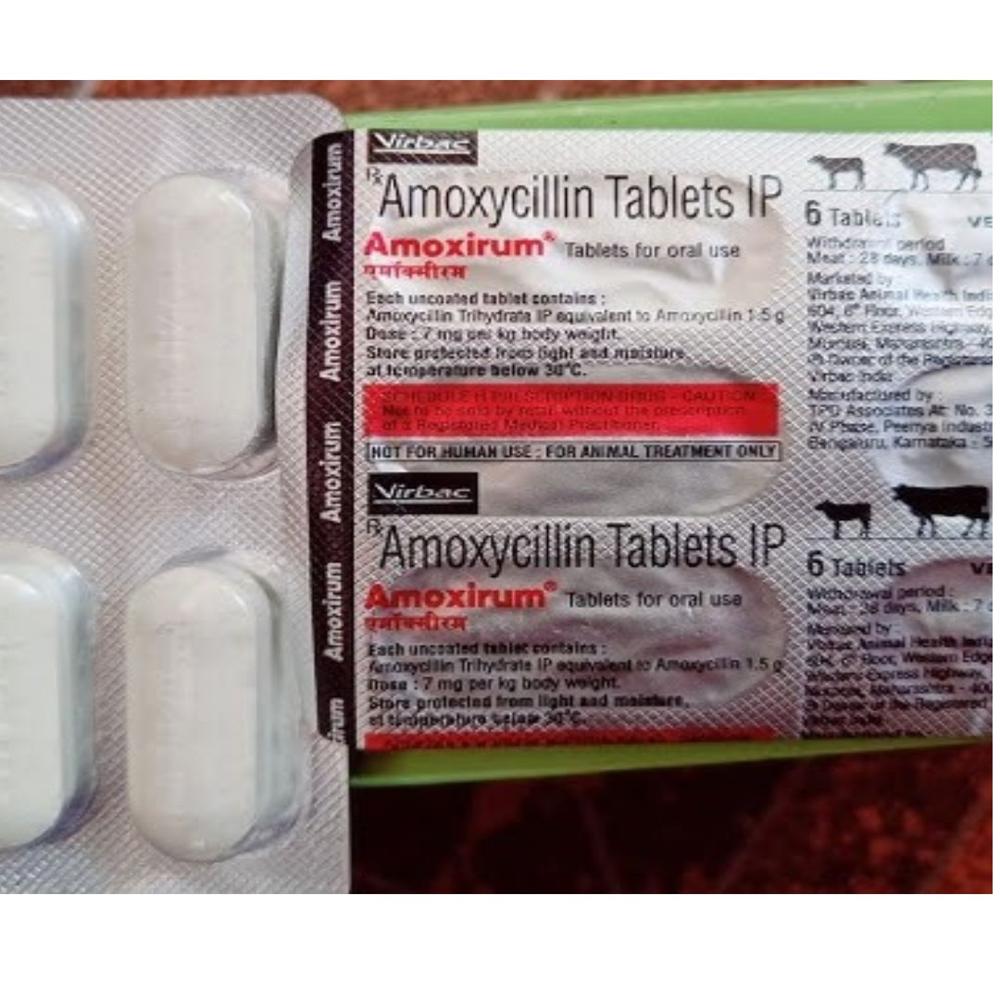 Amoxirum Amoxycillin Trihydrate Tablets - Packaging Type: Box