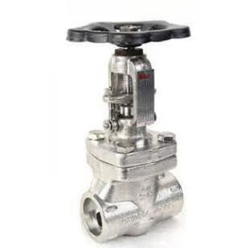 Ss Cs Globe Valve SW SE