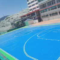 Sports Coating Services