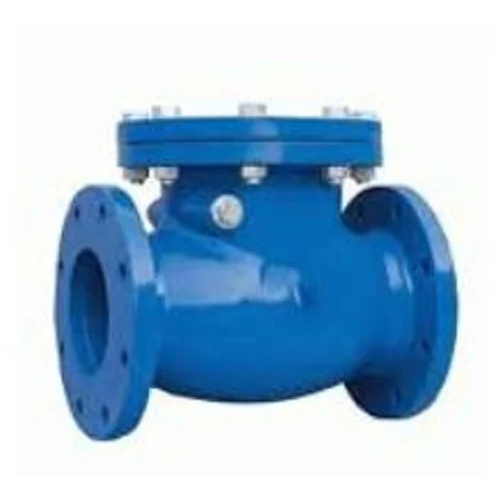 CS Swing Check Valves
