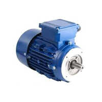 Flour Mill Electric Motor - Color: Blue