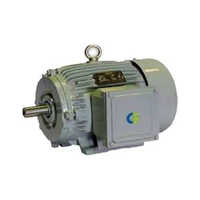 Crompton Greaves Industrial Motor - Features: Easy To Install