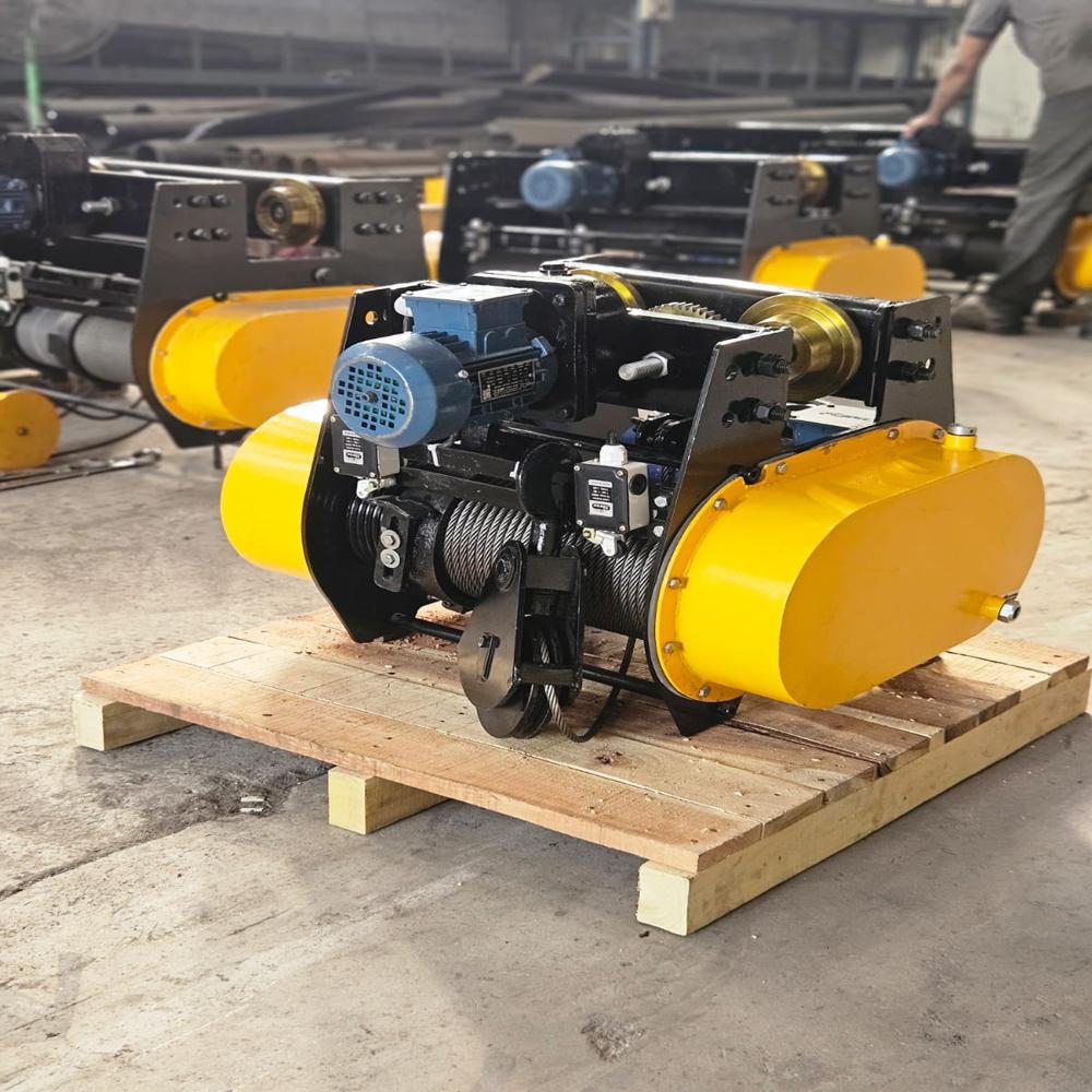 2 Ton 2 Fall Electric Wire Rope Hoist manf.