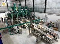 Ultra Modern Cashew Nut Processing Plant - Feature: High Performance
