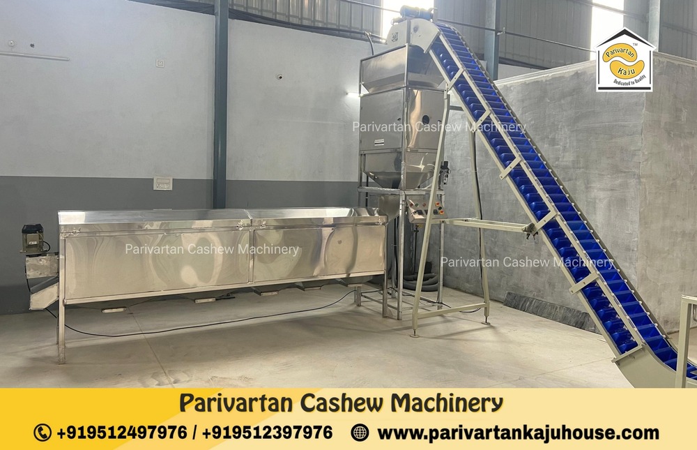 Full Automatic Cashew Processing nut Plant