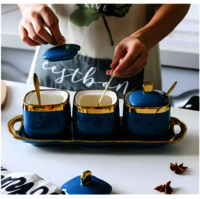 Ceramic Condiment Set Seasoning Pot with Ceramic Tray, Serving Spoon and Lid