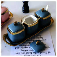 Ceramic Condiment Set Seasoning Pot with Ceramic Tray, Serving Spoon and Lid