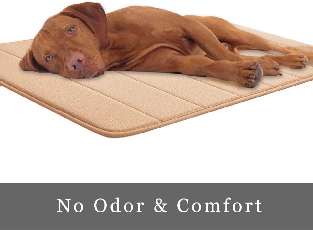 Memory Foam Bathroom Mat Non-Slip Rapid Water Absorption Super Soft Velvet Doormat