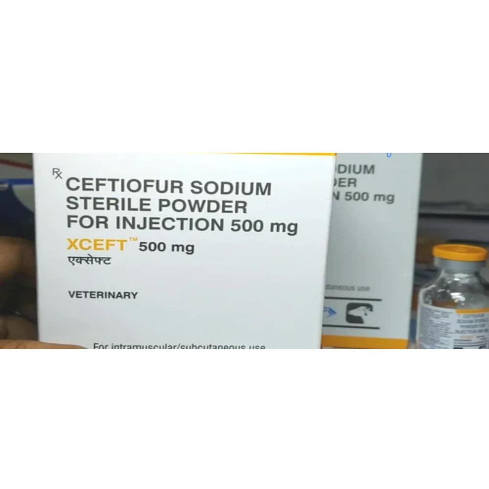 Xceft 500mg Ceftiofur sodium Injection