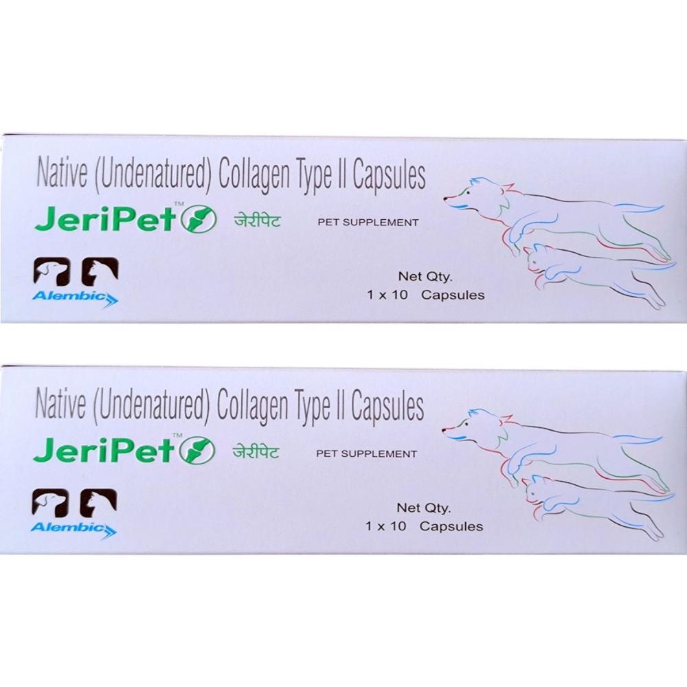 Jeri Pet Capsule Joint Health Supplement 