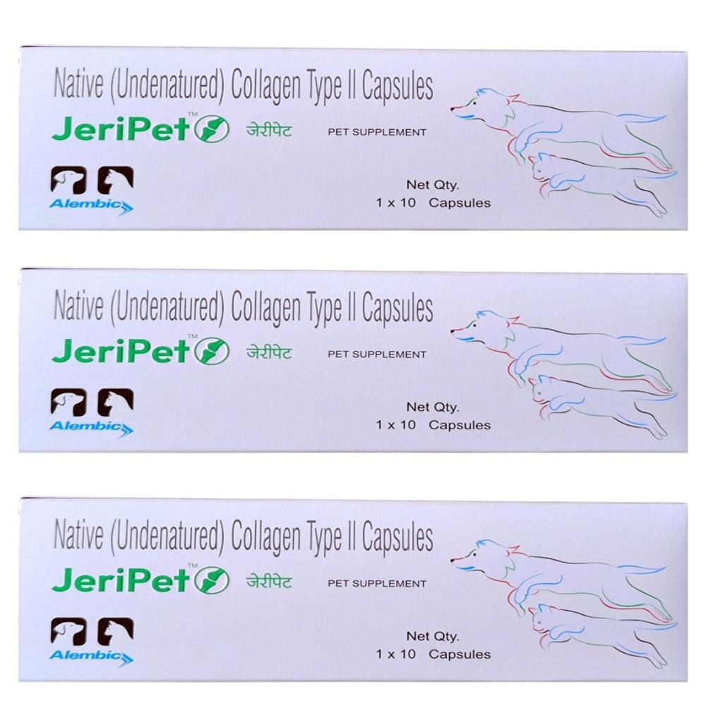 Jeri Pet Capsule Joint Health Supplement 