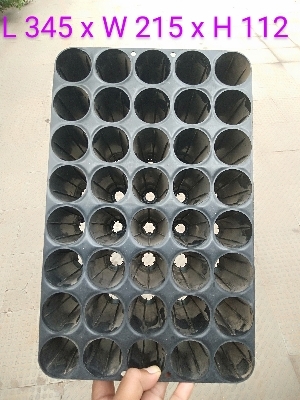 Seedling trays