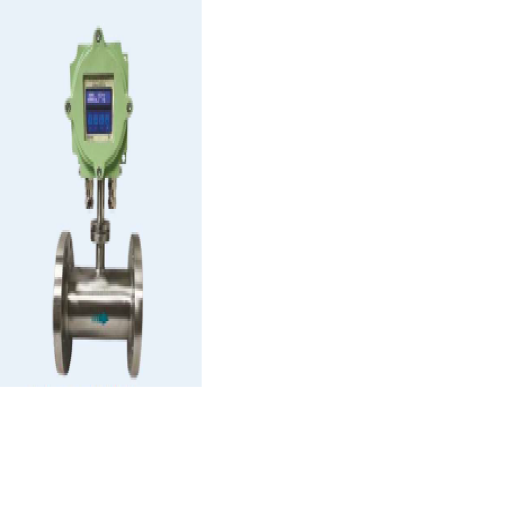 Thermal Mass Flow Meter