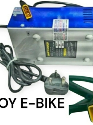 E bike charger for joy