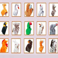 Kids Animal Costume