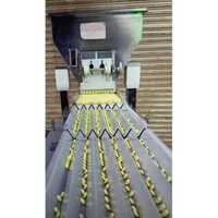 Vibrating Conveyor System - Feature: Durable