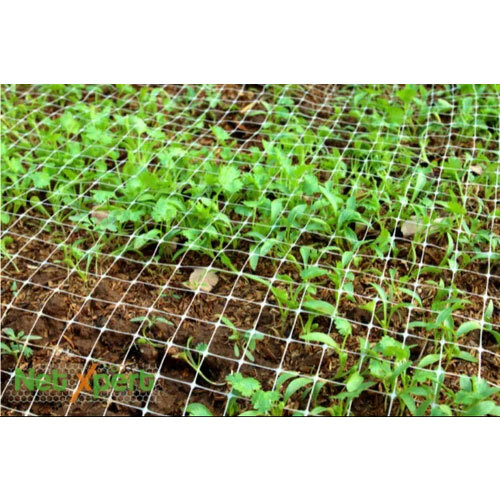 Virgin Square Plastic Mesh - Color: Green