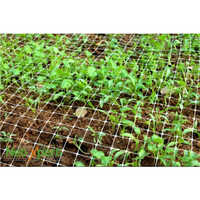 Virgin Square Plastic Mesh
