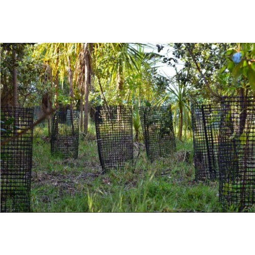 5X4 Feet Virgin Square Tree Guard