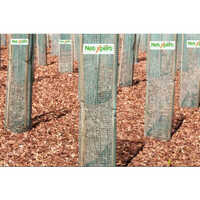5X4 Feet Virgin Square Tree Guard