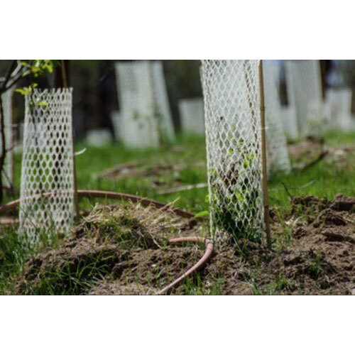 6X4 Feet Virgin Hexa Tree Guard