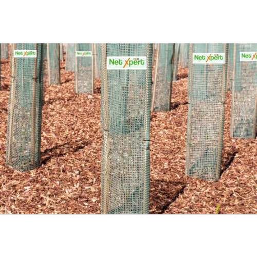 4X4 Feet Virgin Square Tree Guard
