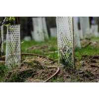 4X4 Feet Virgin Hexa Tree Guard