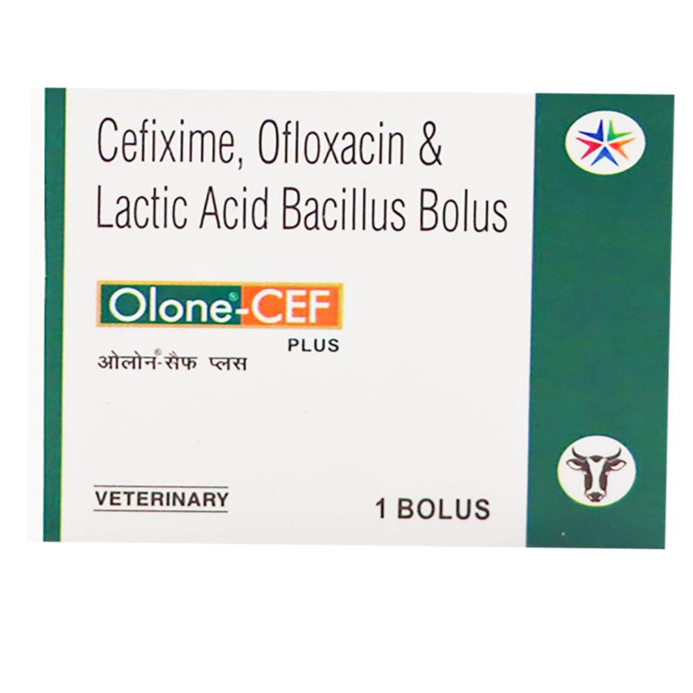Olone-cef Plus Bolus - Packaging Type: Box