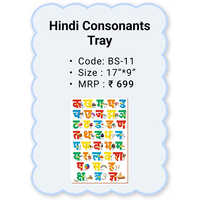 Wooden Peg Boards - Hindi Consonants Tray