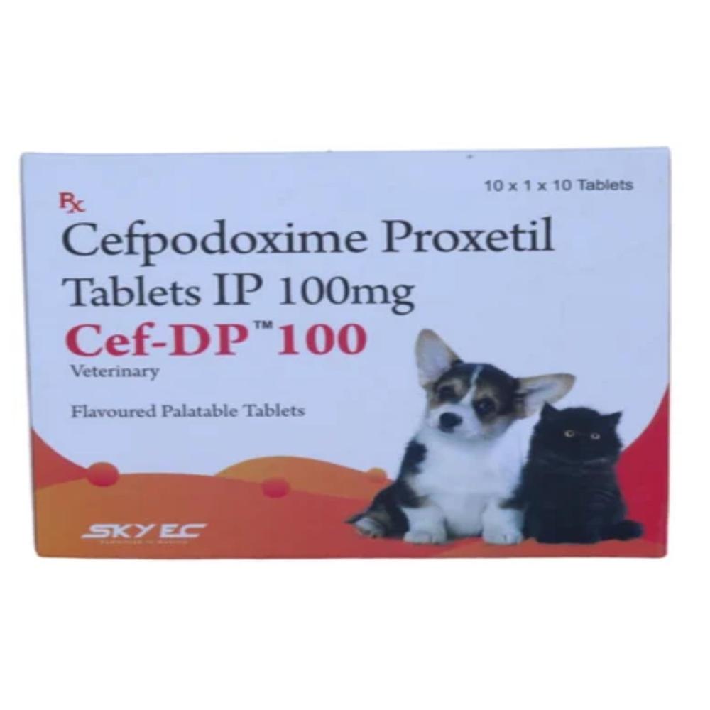 CEF - DP Cefpodoxime Proxetil 100MG TABLET