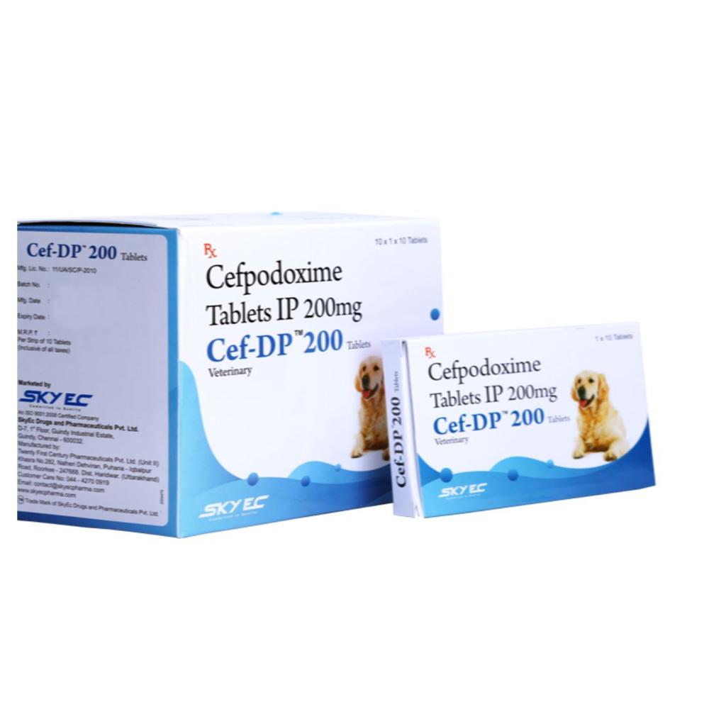 Cef-dp Cefpodoxime Proxetil 200mg Tablet - Packaging Type: Box