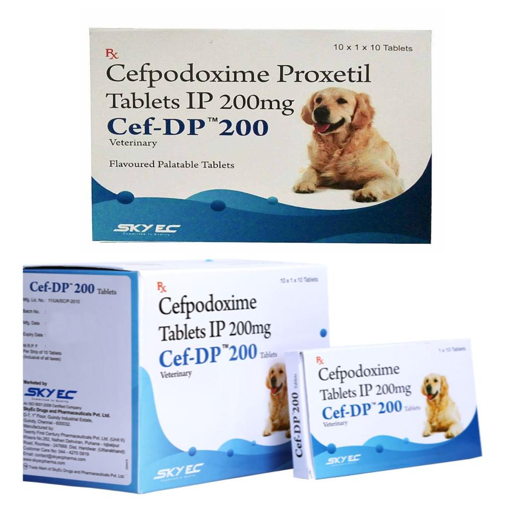 Cef-dp Cefpodoxime Proxetil 200mg Tablet - Packaging Type: Box