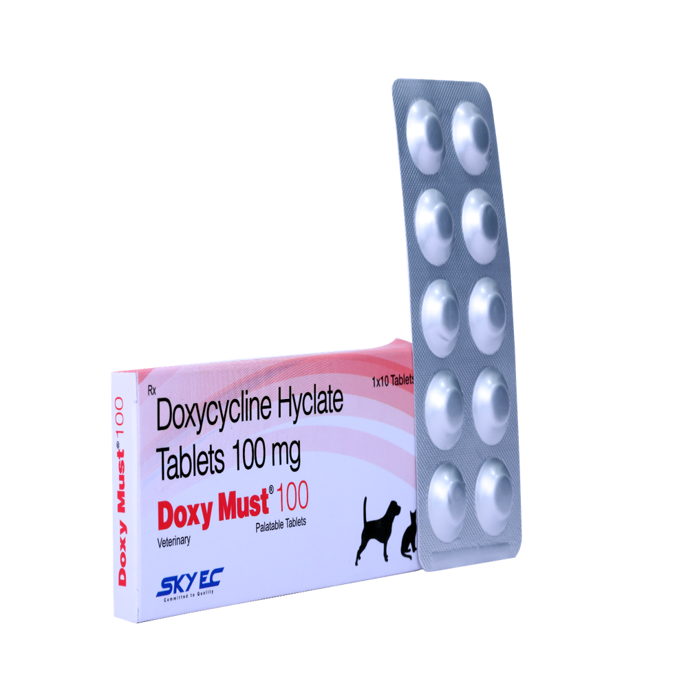 Doxy Must 100 Doxycycline Hyclate Tablet - Packaging Type: Box