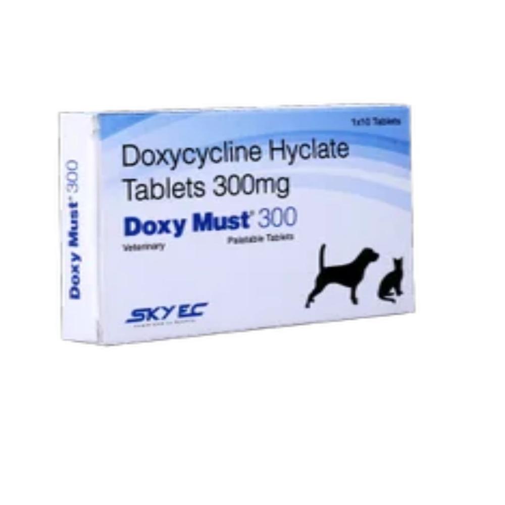 Doxy Must Doxycycline Hyclate 300mg Tablets - Packaging Type: Box