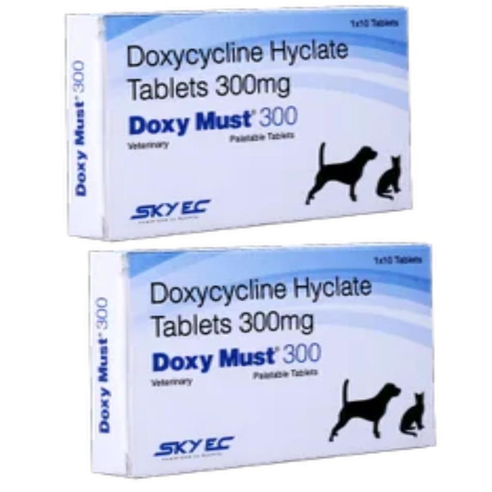 Doxy Must Doxycycline Hyclate 300mg Tablets - Packaging Type: Box