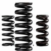 250mm Ss Buffer Spring - Color: Black