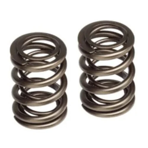 Valve Spring