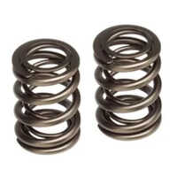 Valve Spring - Color: Silver