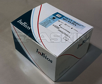 InBios DENV Detect IgG ELISA